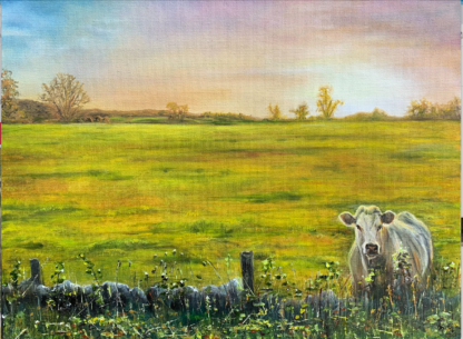 An original oil landscape painting. A Charolais stares inquisitively over the wall as the sun sets across the field which she calls her own.