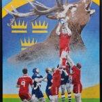 Rise Of The Stag Original Munster Rugby Peter O'Mahony Artwork