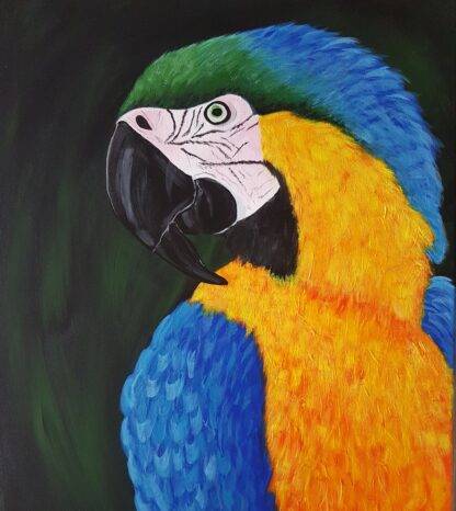 A Stunning Print of My Original Piece." Relive the vibrant beauty of the macaw with this captivating print, originally sold to Bird Jungle in Dublin. Perfect for bird enthusiasts and art lovers alike, 'Macaw' brings the exotic colors and majestic presence of these magnificent birds into your space. Add a touch of tropical charm to any room with this stunning piece that celebrates the wonders of nature."