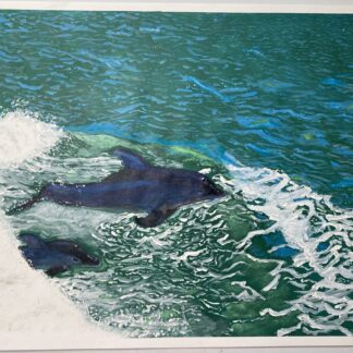 Painting of a bottlenose Dolphin