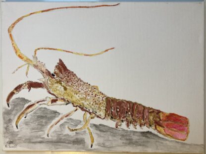 spiny lobsters painting