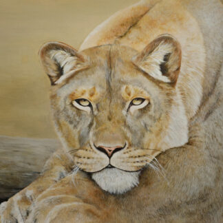 Wildlife Paintings