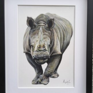 rhinoceros painting