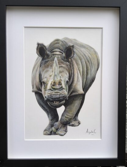 rhinoceros painting