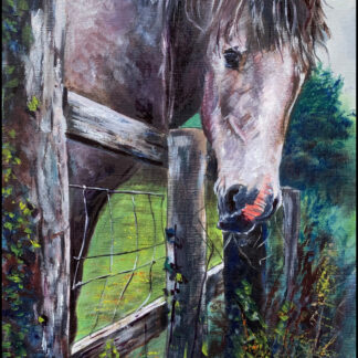 Painting of a horse at Killegar, Co. Wicklow