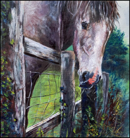 Painting of a horse at Killegar, Co. Wicklow