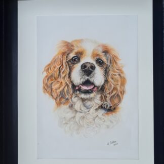 Painting of Cavalier King Charles