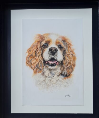 Painting of Cavalier King Charles