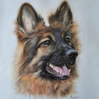 Painting of a German Shepherd