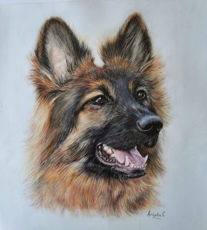 Painting of a German Shepherd