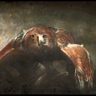 Painting of Harris Hawk