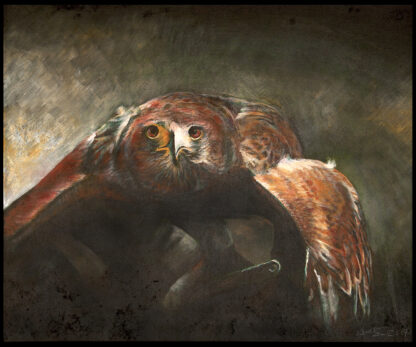 Painting of Harris Hawk