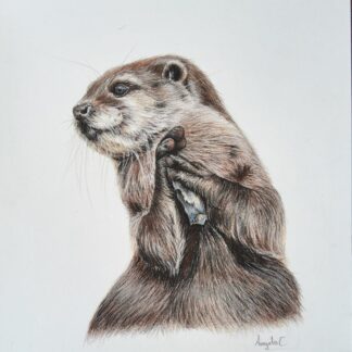 Painting of an Otter