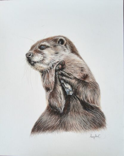 Painting of an Otter