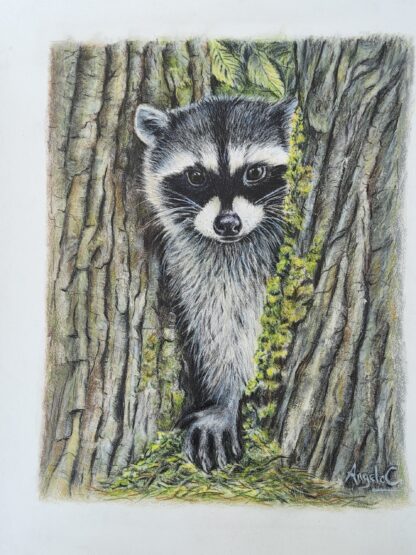 Raccoon Painting