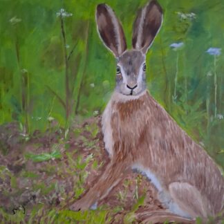 Hare Painting For Sale